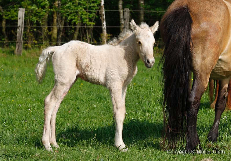 Hjkoerdis 2 Stunden und 23 Min altl.jpg